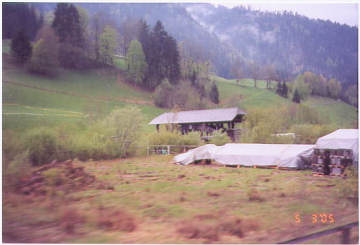 Weissenburg Bridge. Photo by Lisette Keating May, 2005